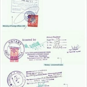 What Is a Certified True Copy? Meaning & Attestation Process