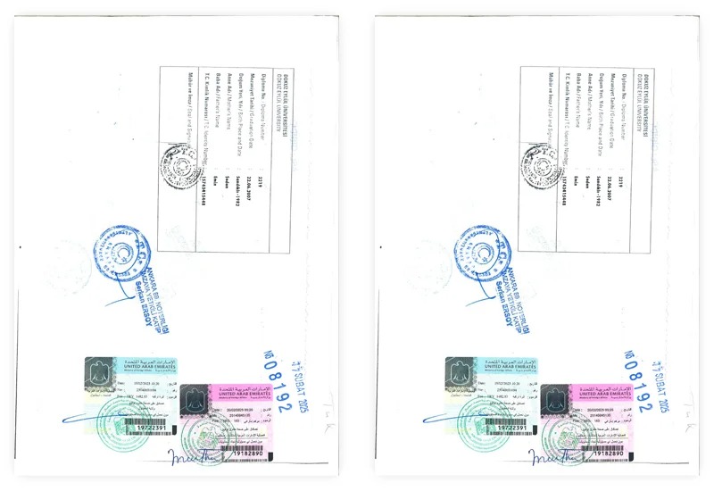 Egypt Death Certificate Attestation for UAE: Inheritance & Estate Steps